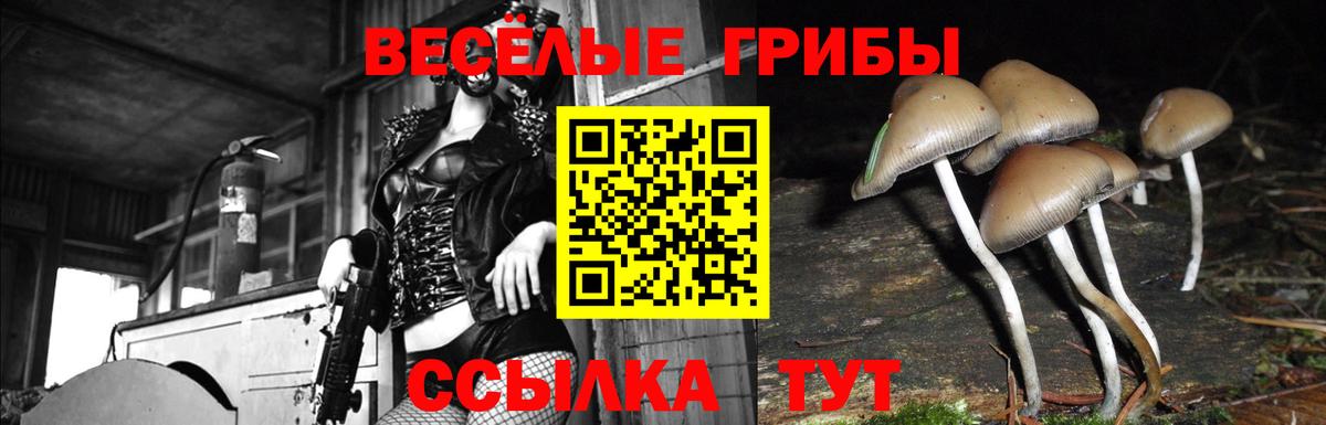 Галлюциногенные грибы мицелий  Вход с VPN  Нижний Новгород 